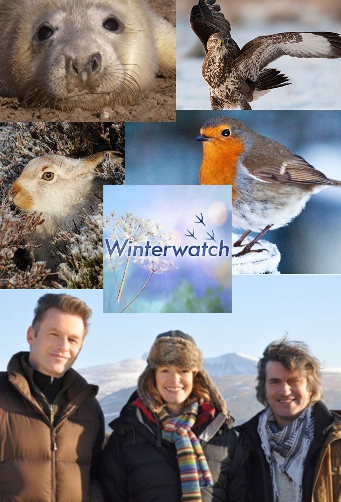 BBC Winterwatch Unsprung 2016 2of3 PDTV x264 AAC EZTV
