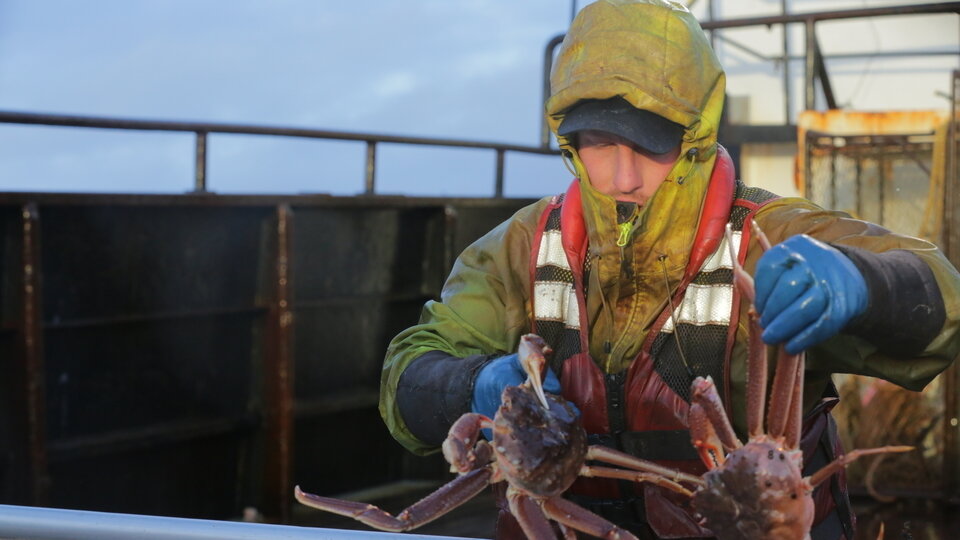 Deadliest Catch S11E15 New Blood, Old Wounds