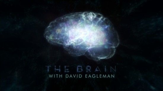 PBS The Brain with David Eagleman 6of6 Who Will We Be 720p HDTV x264 AAC EZTV