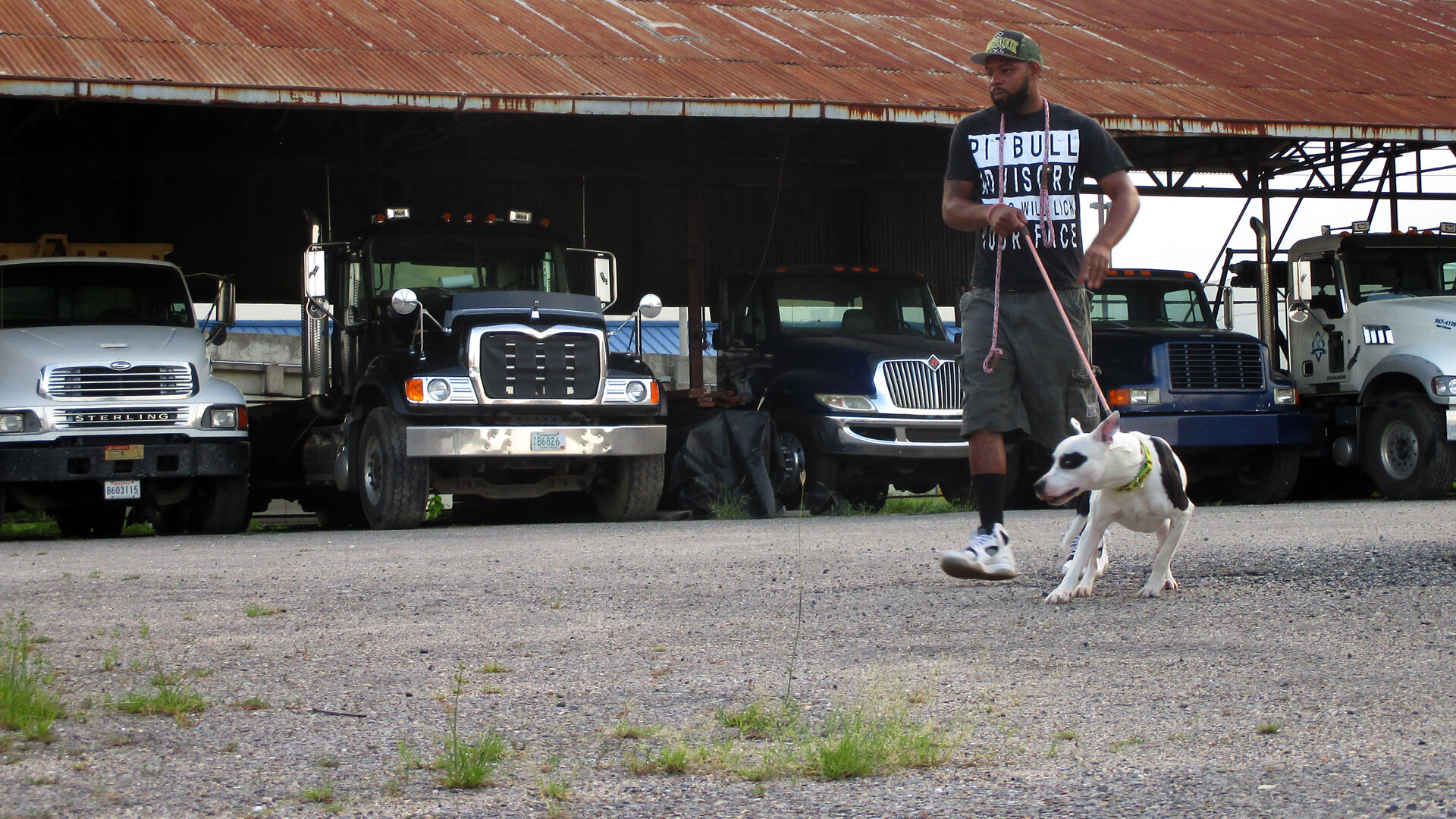 Pit Bulls and Parolees S9E10 Longing for Home