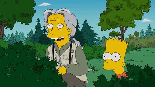 The Simpsons S28E20 Looking for Mr. Goodbart